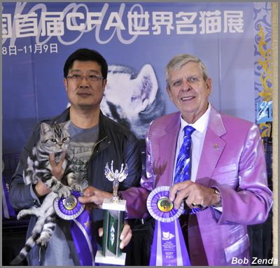 Cat Life Guo Guo NASC PR
